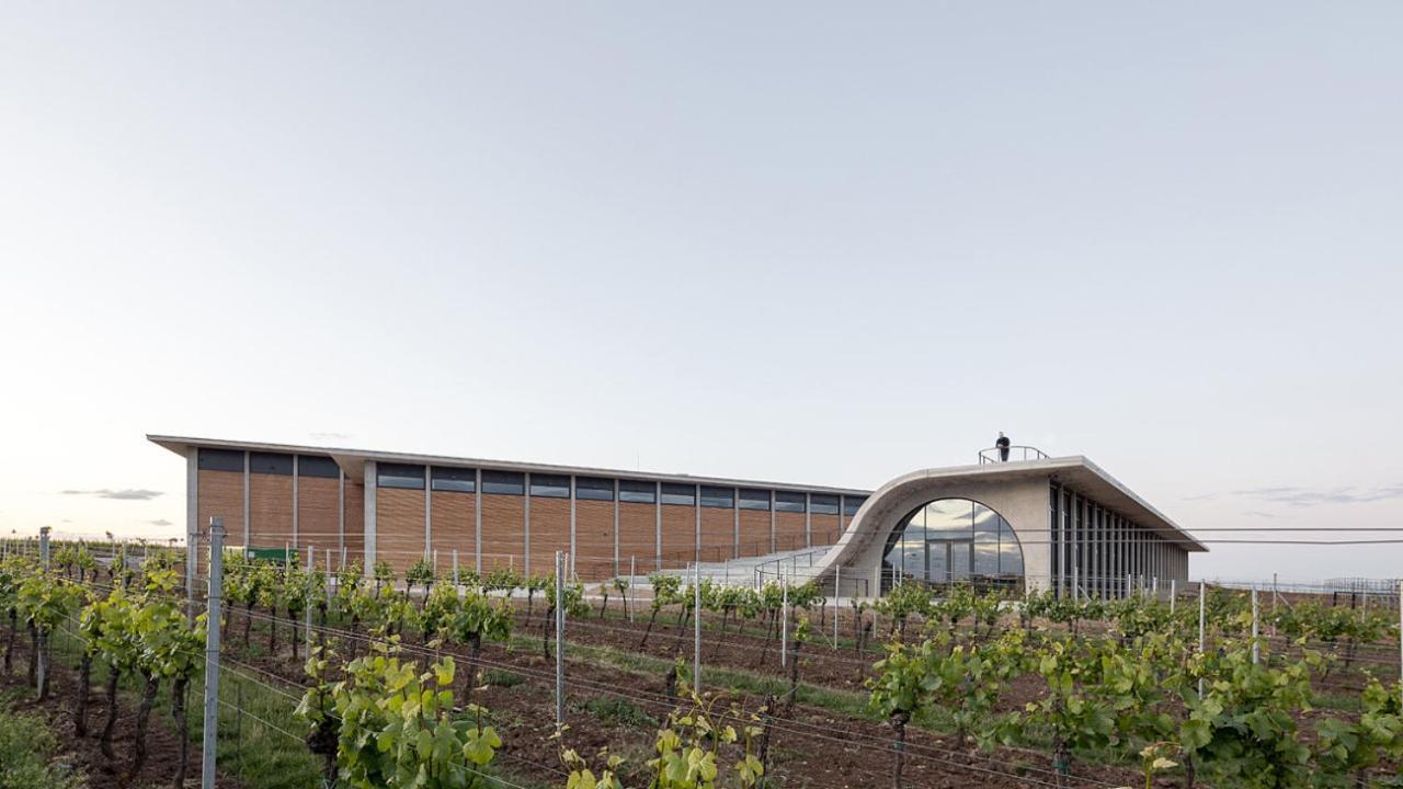 Vila Wine House Znojmo Exteriér fotografie